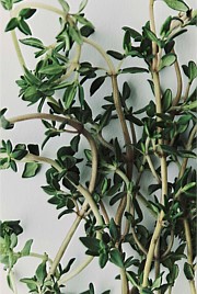 Australian Made Vetiver & Thyme Candle 70g