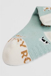 Dog Sock