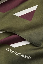 Silk Multi Stripe Scarf