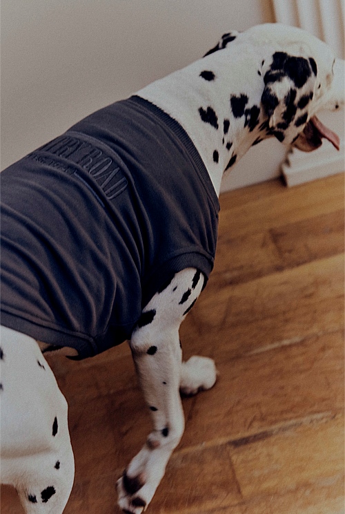 Enzo Australian Cotton Heritage Sweat