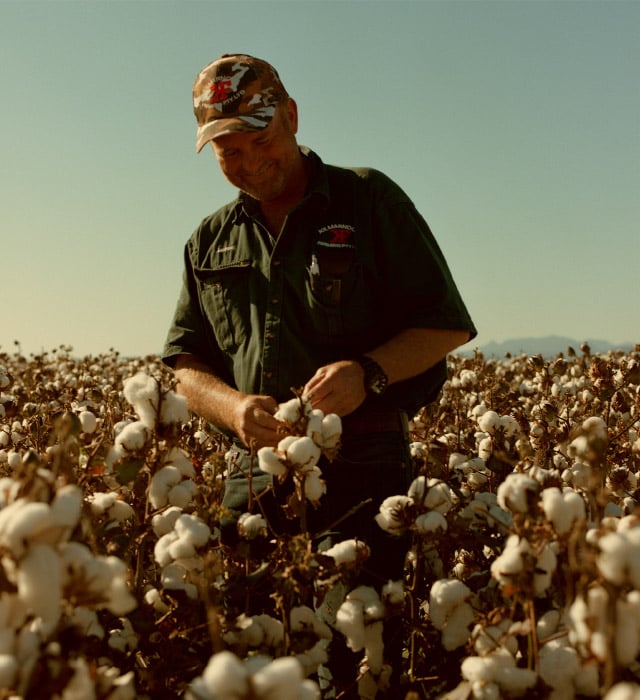 Cotton