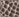 Snake Print