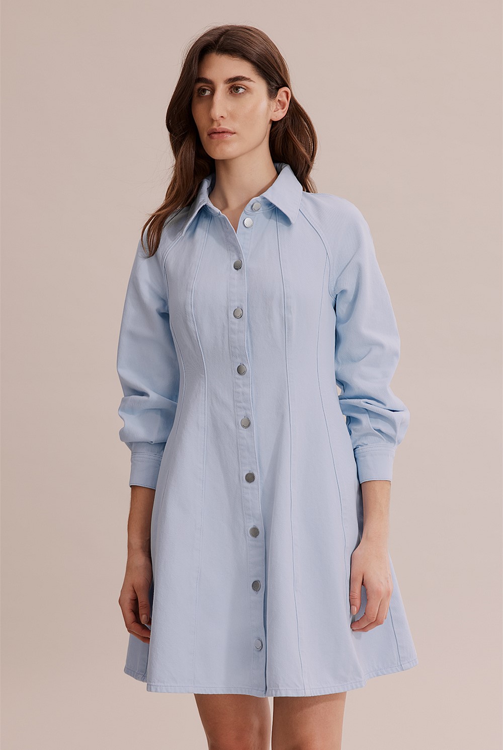 Cotton Denim Panelled Mini Dress