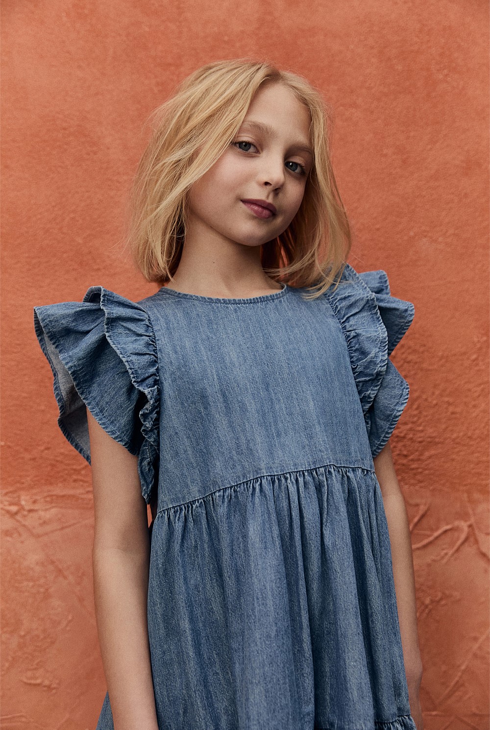 Chambray Frill Dress
