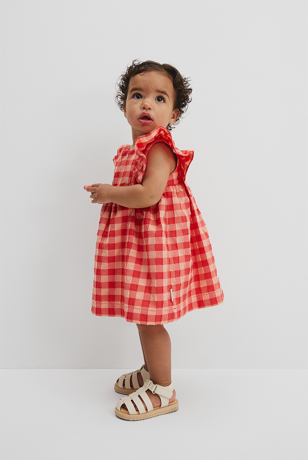 Gingham Flutter Sleeve Dress