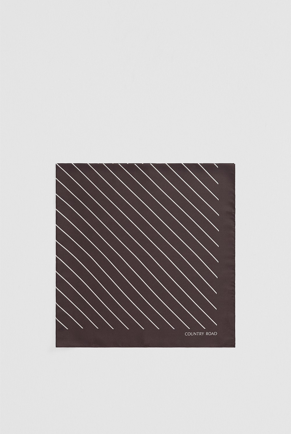 Silk Stripe Scarf