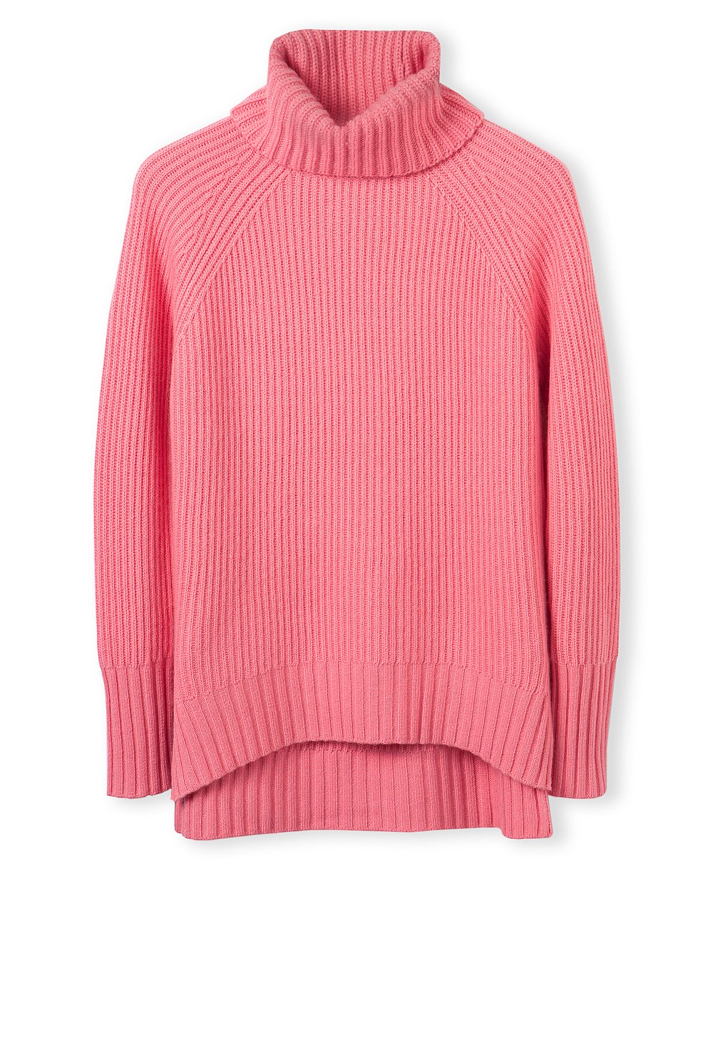Roll Neck Slim Knit