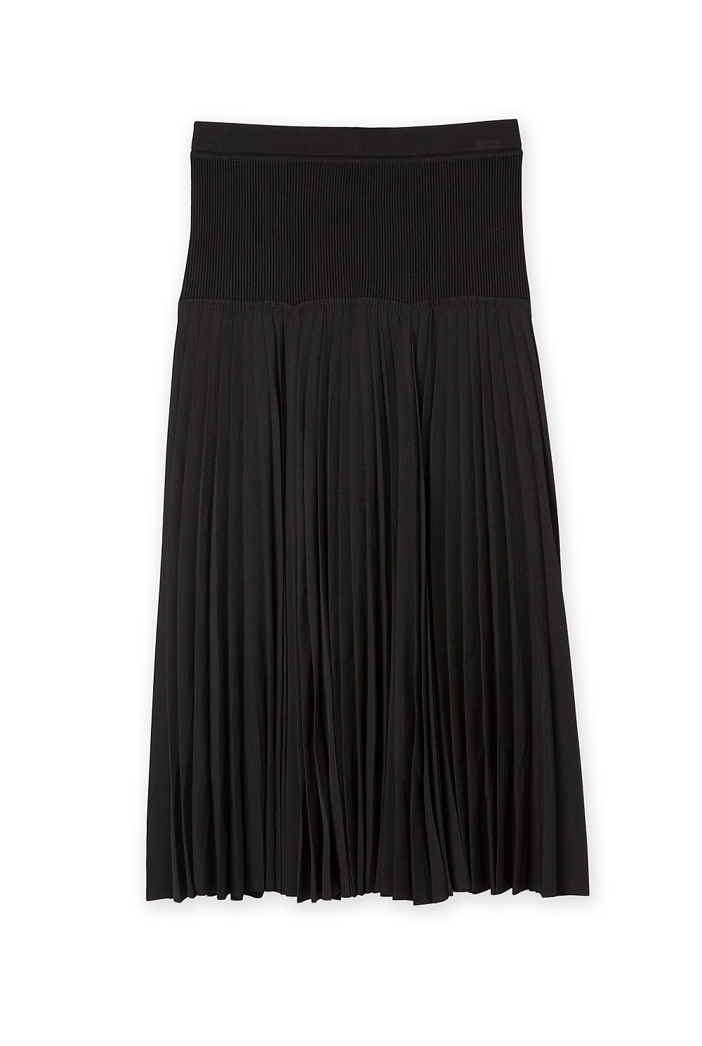Pleated Skirt