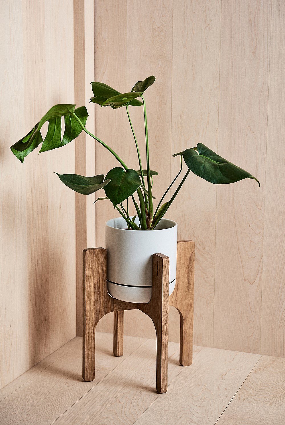 Andy Timber Plant Stand