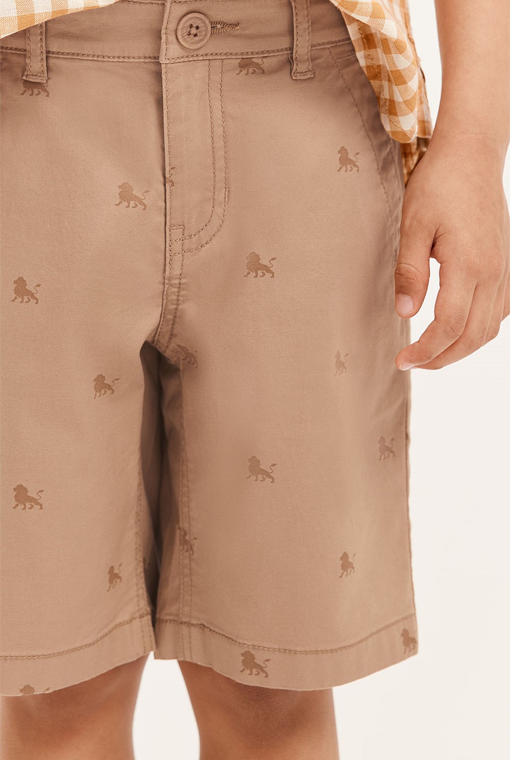 Lion Chino