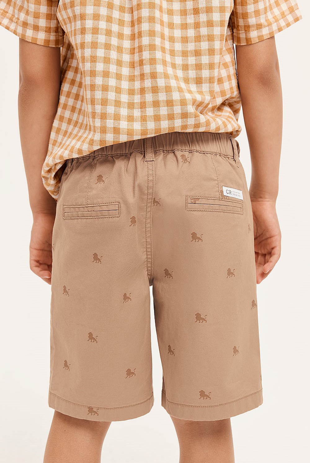 Lion Chino