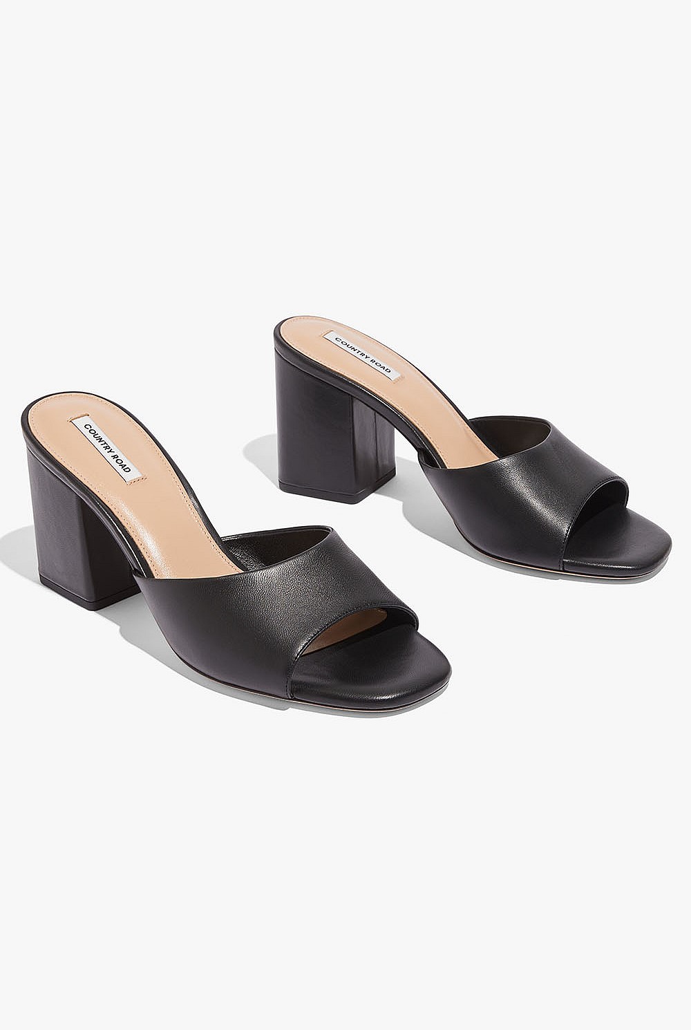 Jodi Mule