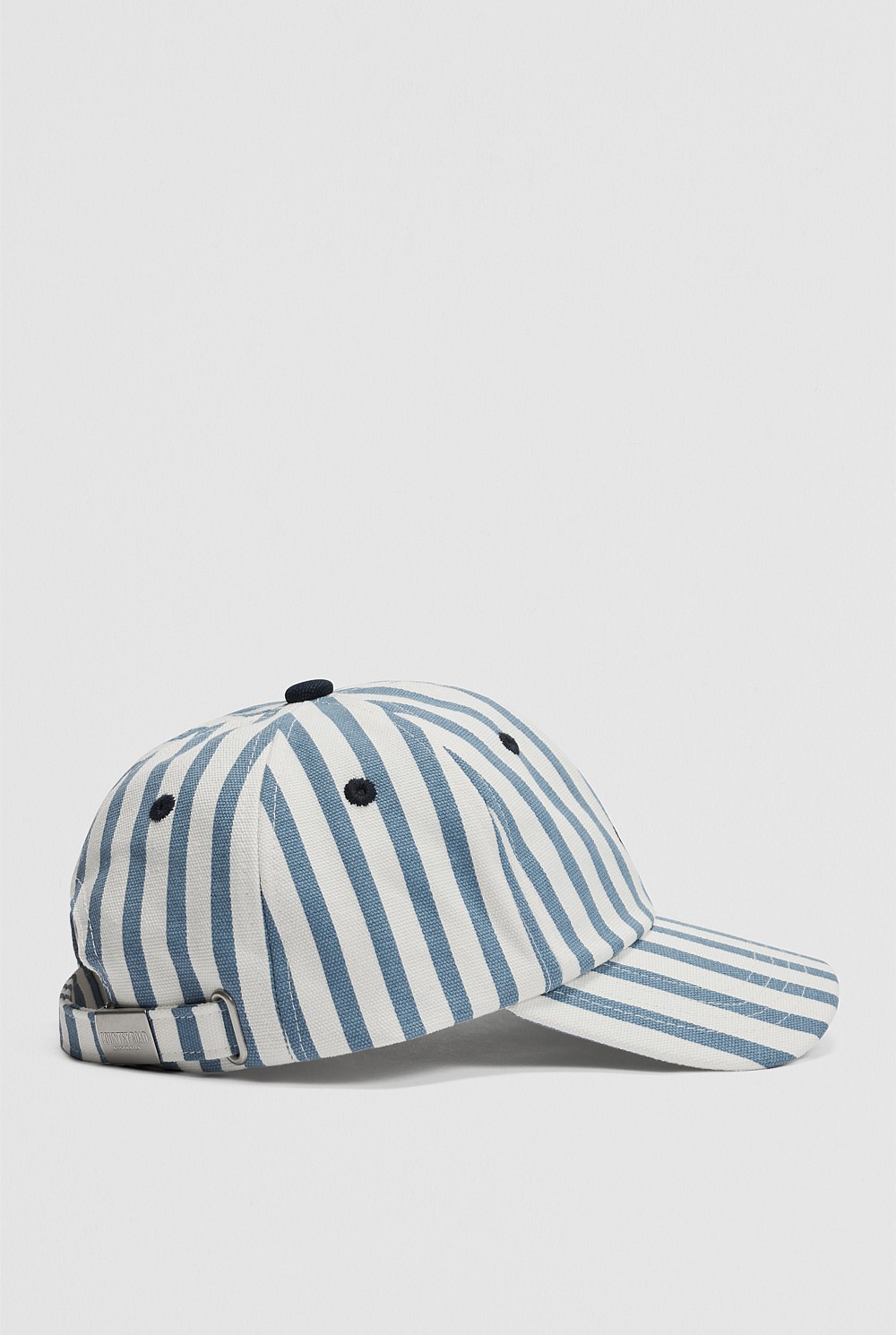 Stripe Logo Cap