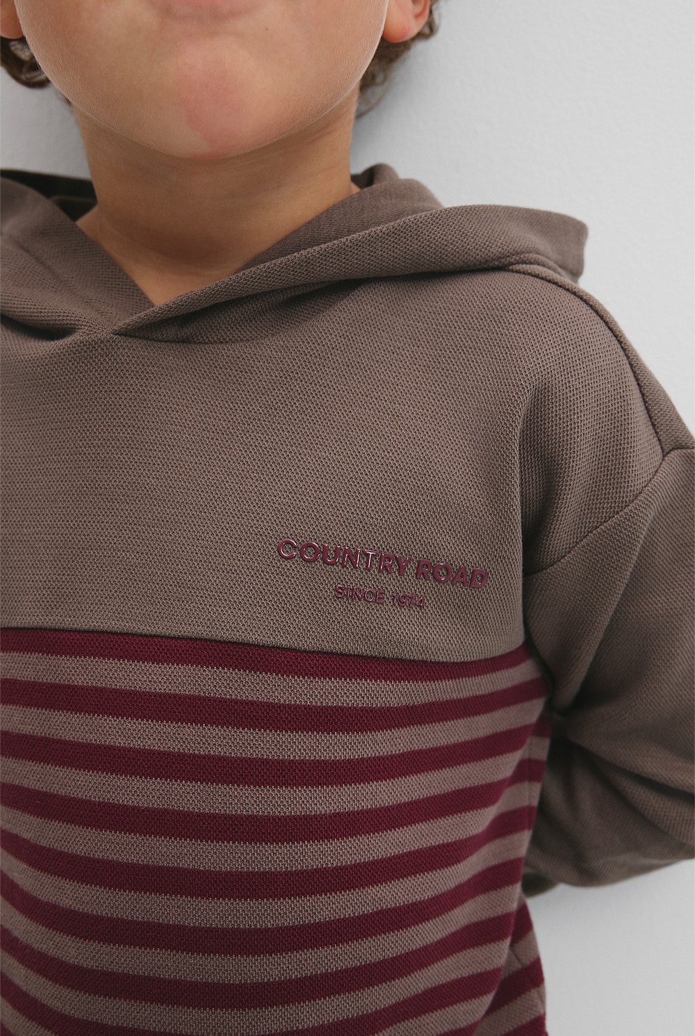 Hooded Block Stripe T-Shirt