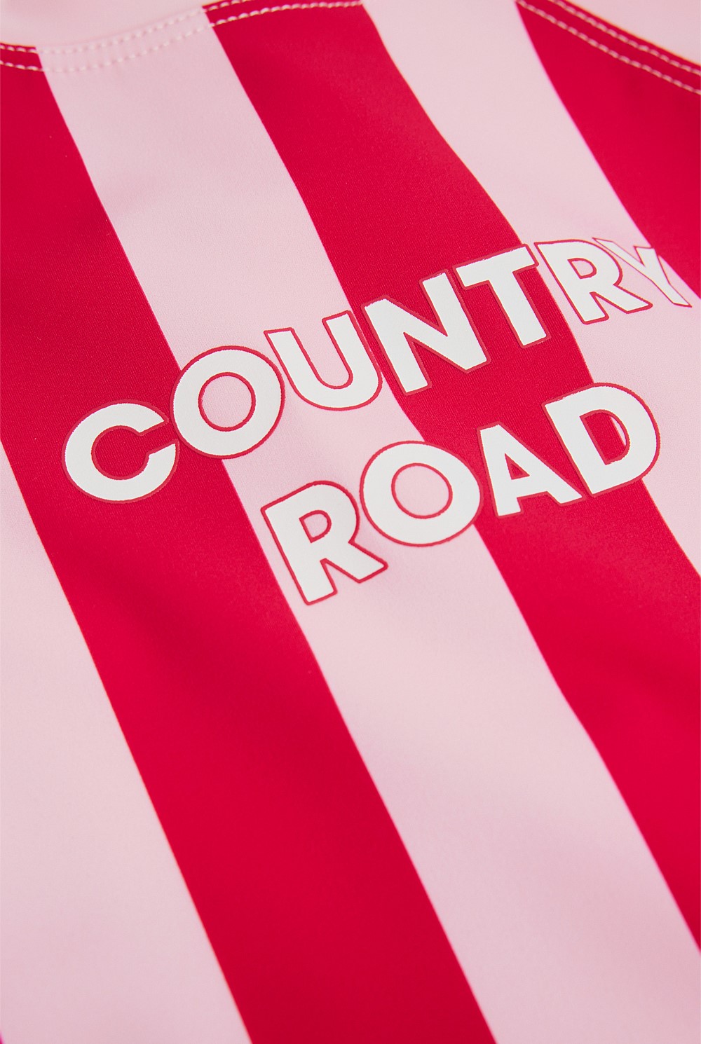 Block Stripe Swimsuit