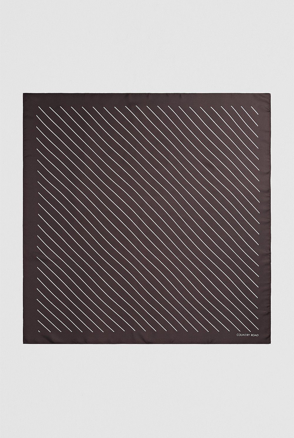 Silk Stripe Scarf