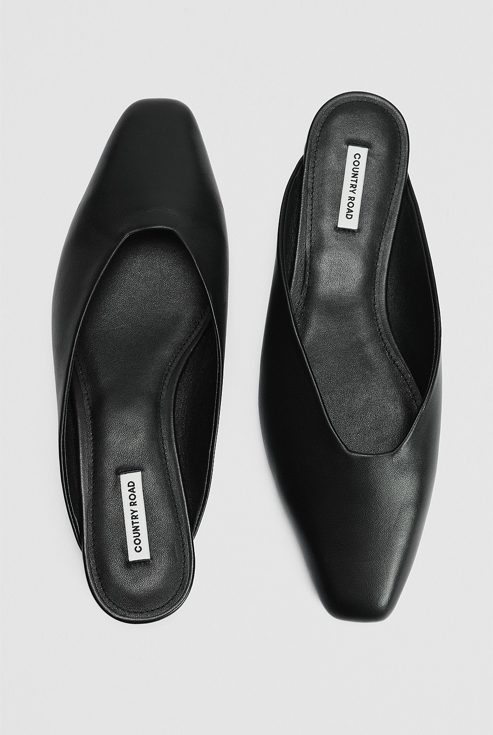 Lila Mule