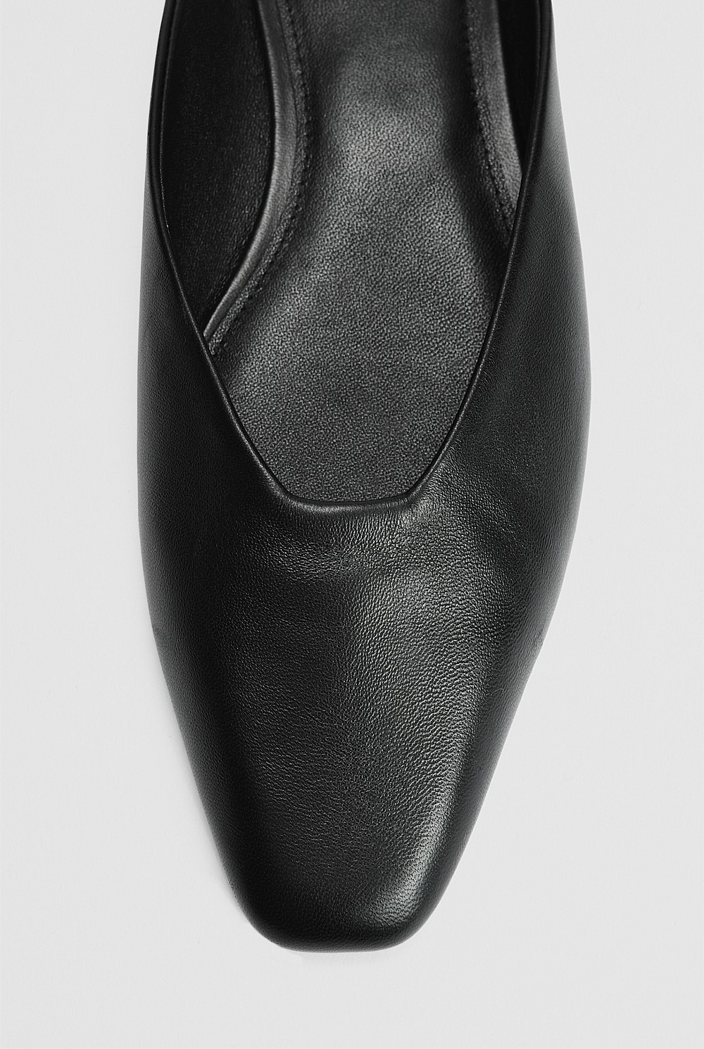 Lila Mule