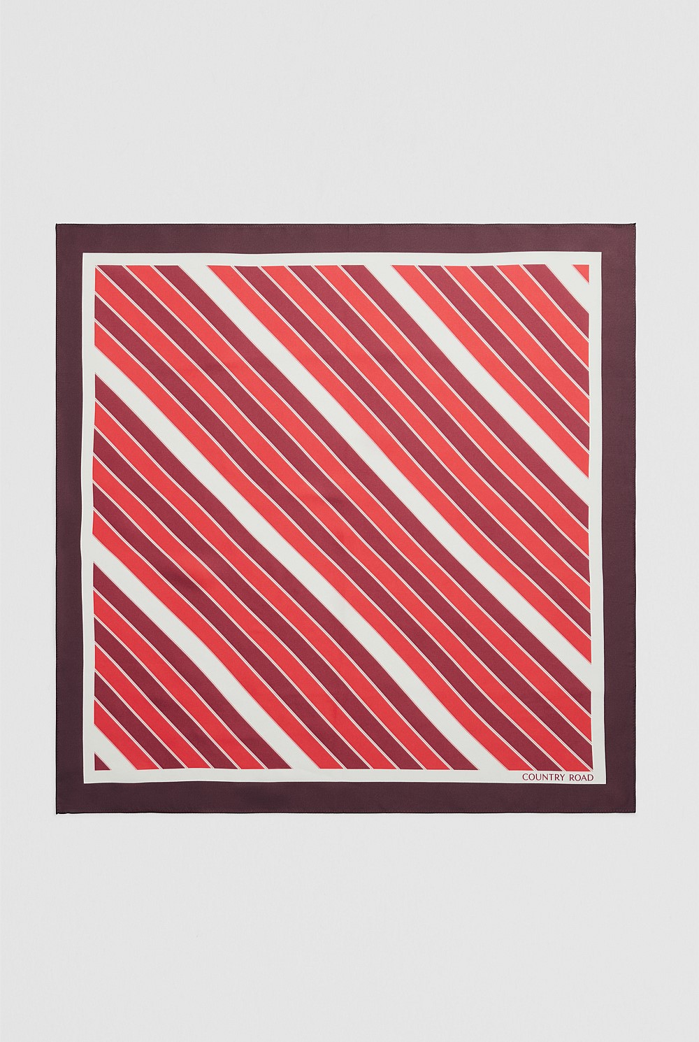 Silk Print Scarf