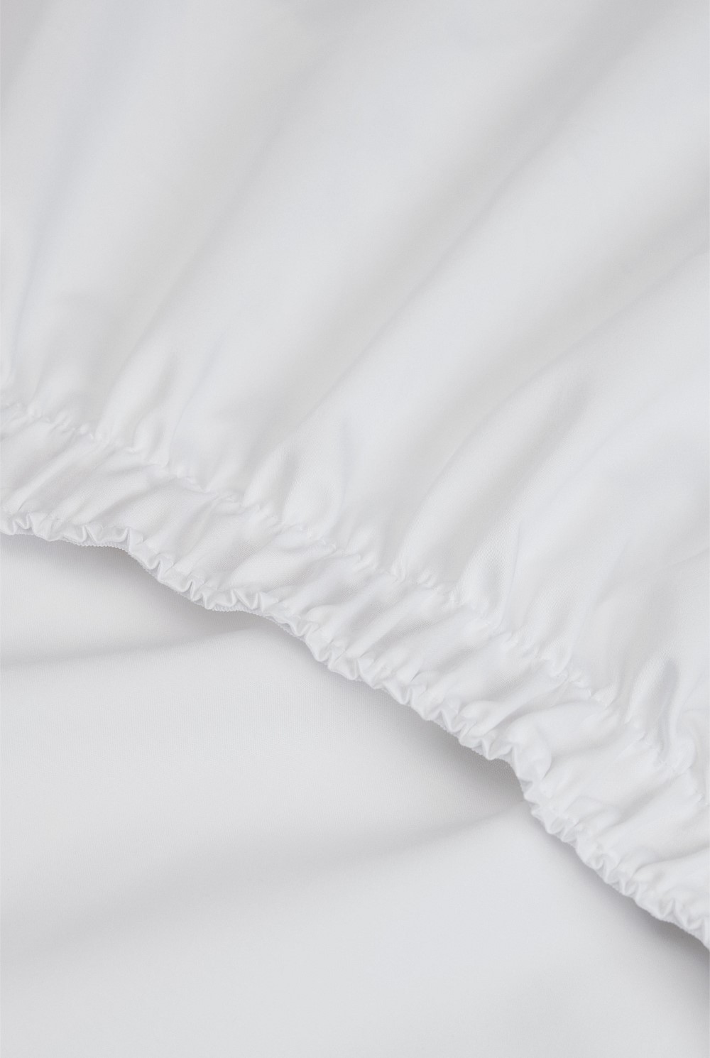 Dita Queen Fitted Sheet