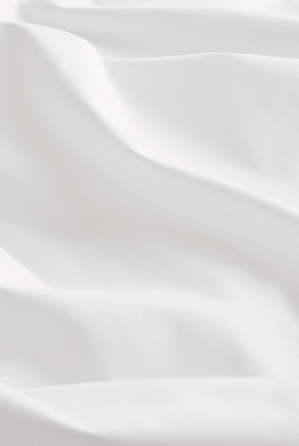 Dita Organically Grown Cotton Queen Flat Sheet