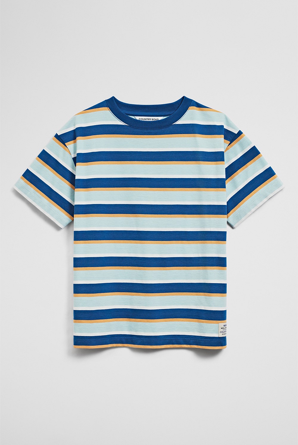 Oversized Stripe Short Sleeve T-Shirt