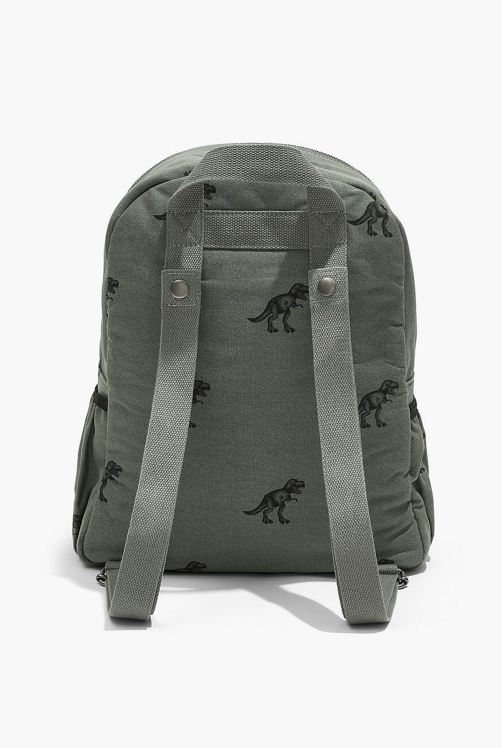Dinosaur Backpack