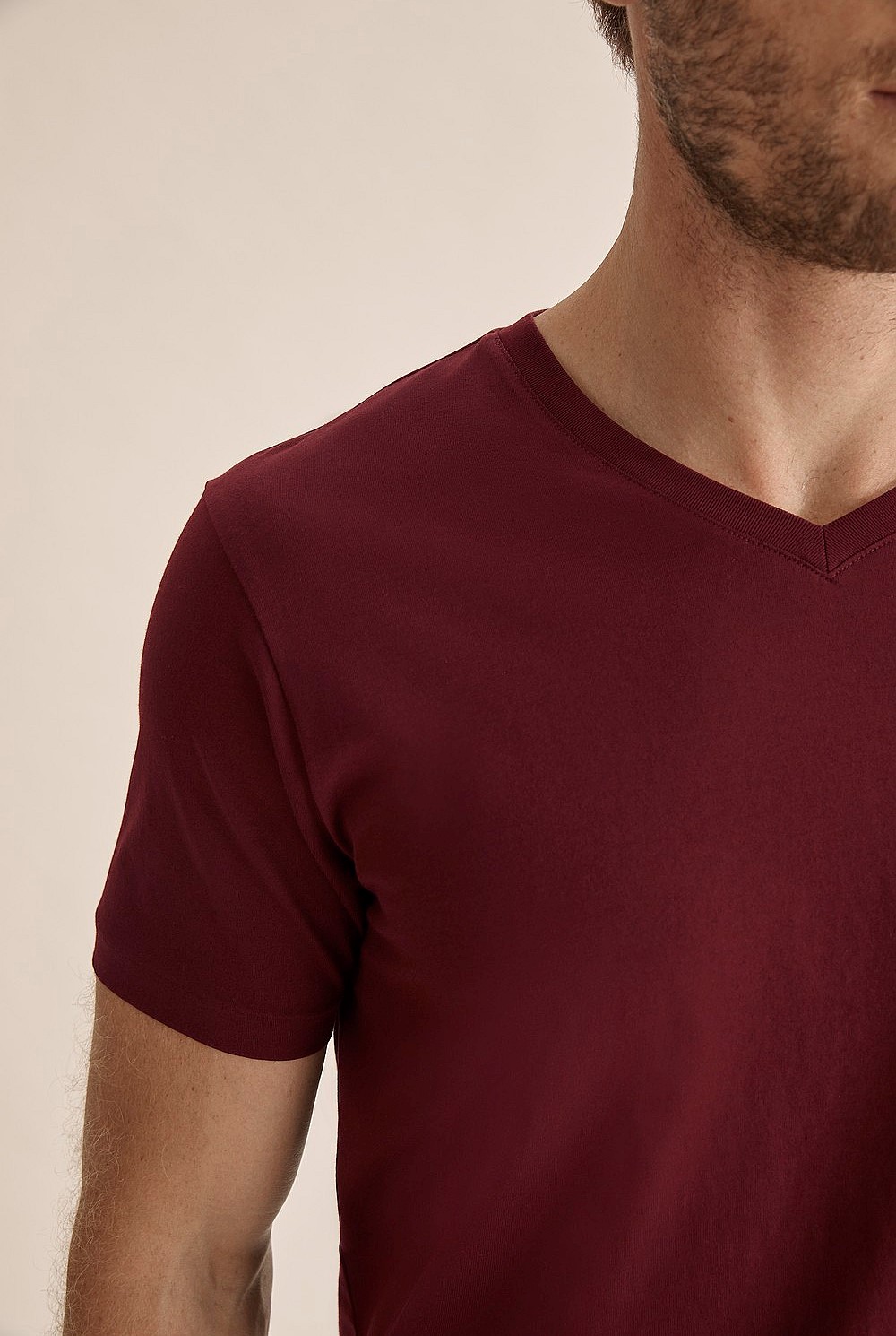 Pima Cotton V-Neck T-Shirt